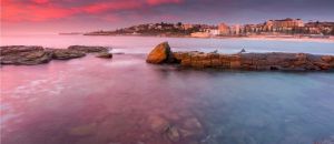 Accountant Listing Partner Coogee Beach Accommodation